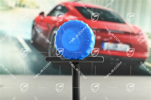 Lid for washer fluid reservoir