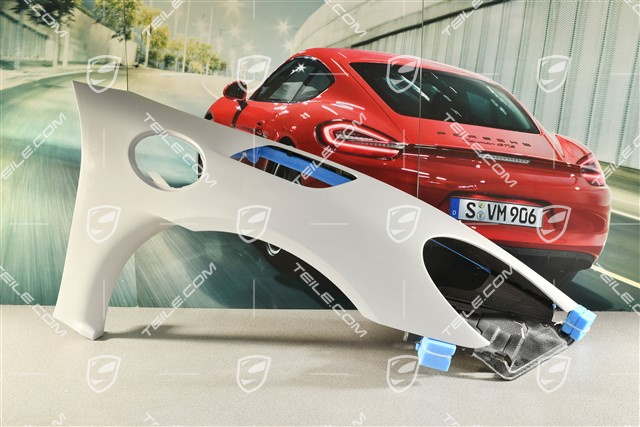 GT4 RS/Spyder RS Fender / Wing, R