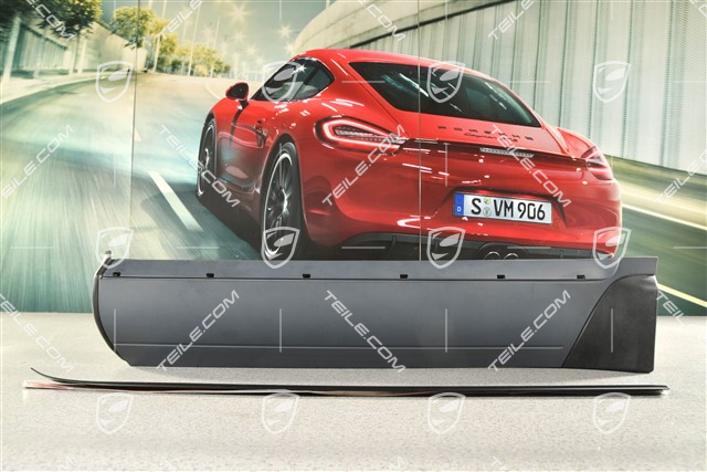 Türverkleidungsleiste mit Zierleiste, Hintertür, Aluminiumpaket, L