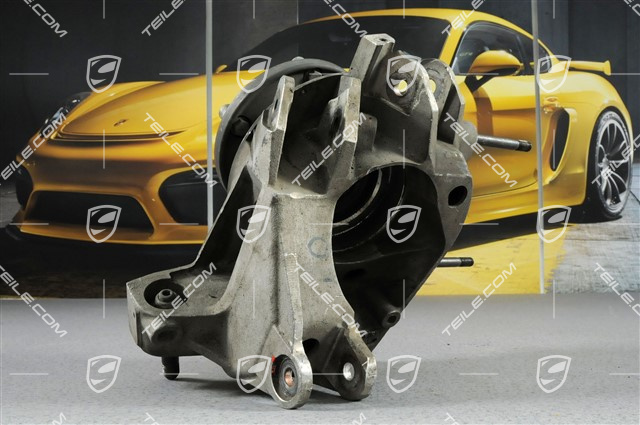 Wheel carrier, rear GT3 CUP 2012, L