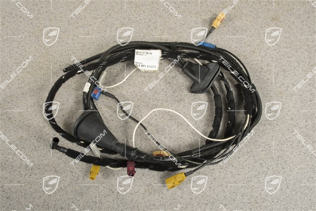 Kabelstrang, hinten, 433,92MHz, R