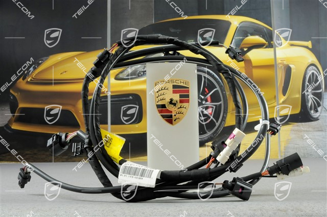 Kabelstrang Verkleidung hinten, C2/C2S, PDC, Kamera Kabelstrang Verkleidung hinten, C2/C2S, PDC, Kamera