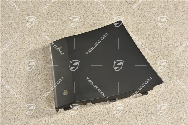 Front Wing / Fender cover / moulding, L