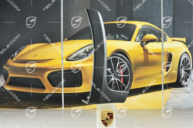GT3RS lining, lateral, L GT3RS lining, lateral, L