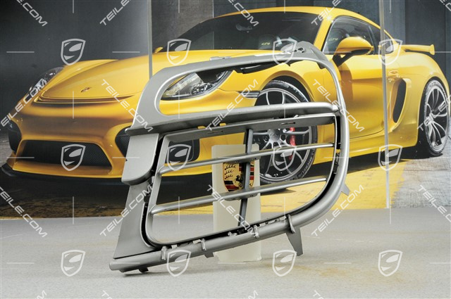 Retaining frame / grille, titanium metallic, C4 / C4S, L Retaining frame / grille, titanium metallic, C4 / C4S, L