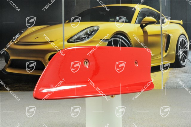 GT3 RS plate for wing, 2004 model, L