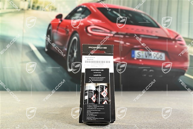 Paint touch-up applicator base coat + Clear lacquer, Ice gray