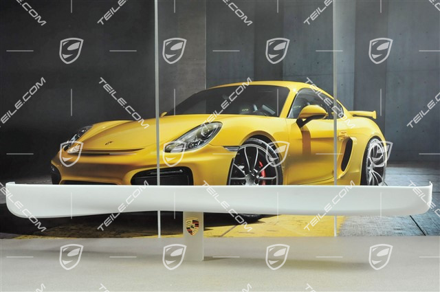 GT3 / Aero Kit Schwellerblende, Modell 2000, R