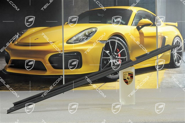 Zierleiste, außen, Coupe, R Zierleiste, außen, Coupe, R