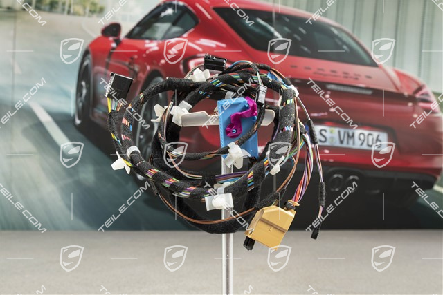 Wiring harness, Assembly frame, driver's door, Spyder, L