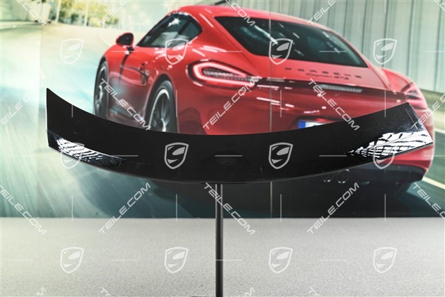 Wide Wheel Arch, Front Wing / Fender moulding, L