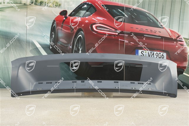 Cover, rear bumper, lower,