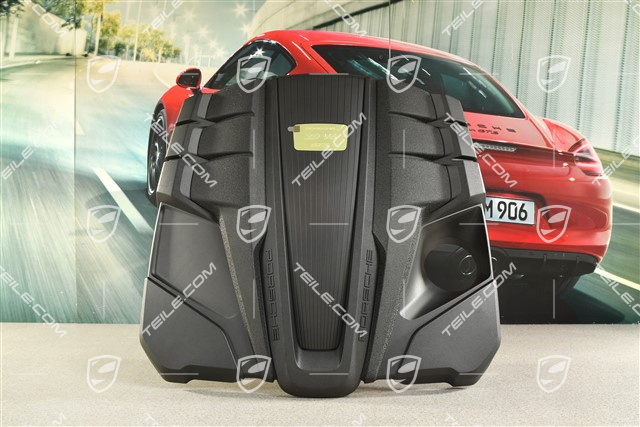 Engine cover, GTS