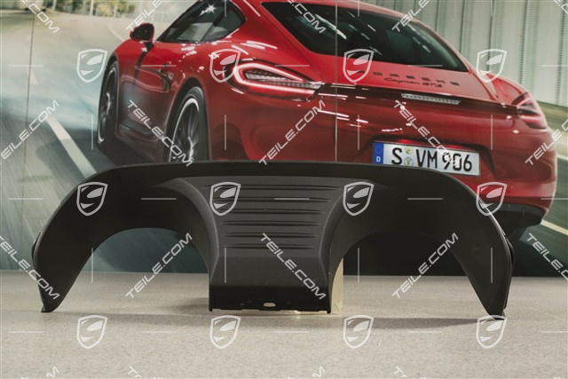 C2 / C2S / C4 / C4S / GTS, Rear bumper fascia, matt black sports exhaust system