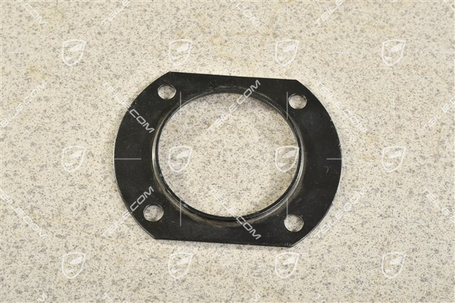 Rear hub bearing protection plate, L=R