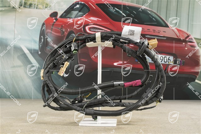 Wiring harness, front bumper