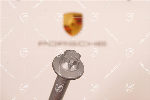 Śruba rolki prowadzącej, torx