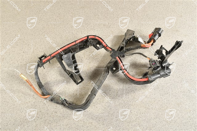Wiring harness, steering