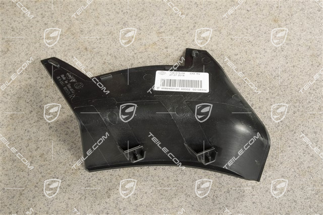 Rear light cover, outer, R