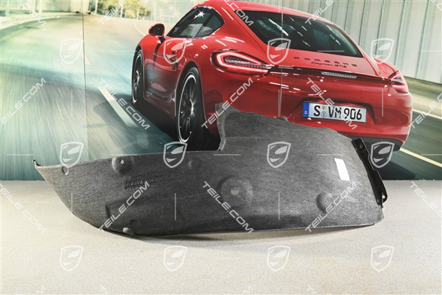 Radhausschale GT3 RS hinten rechts vorne