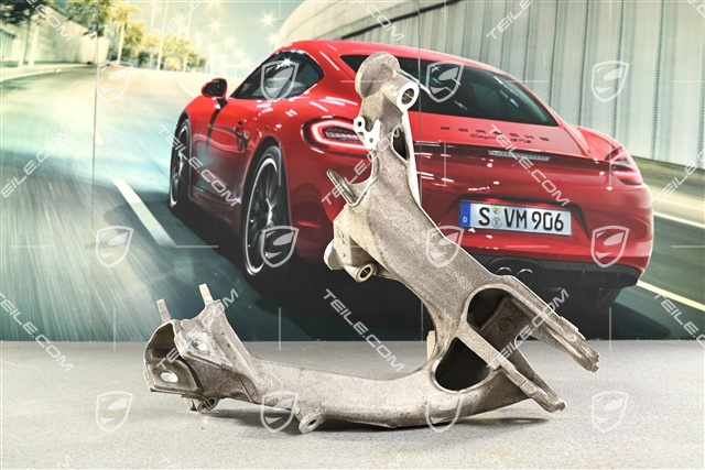 GT3, GT3RS GT2RS, Rear suspension side section / panel, L