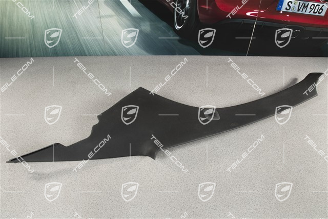 Hardtop Verkleidung, Kunstleder, Schwarz, R