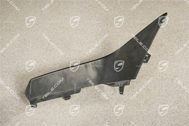 Front bumper Cover trim, Black, R