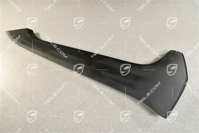 Mittelkonsole, Blende seitlich, Schwarz, L