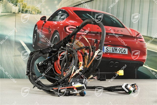 Motorkabelbaum, L