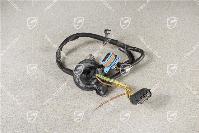 Harness, front, (not for Xenon), R