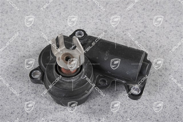 Stellmotor für Abgasklappe