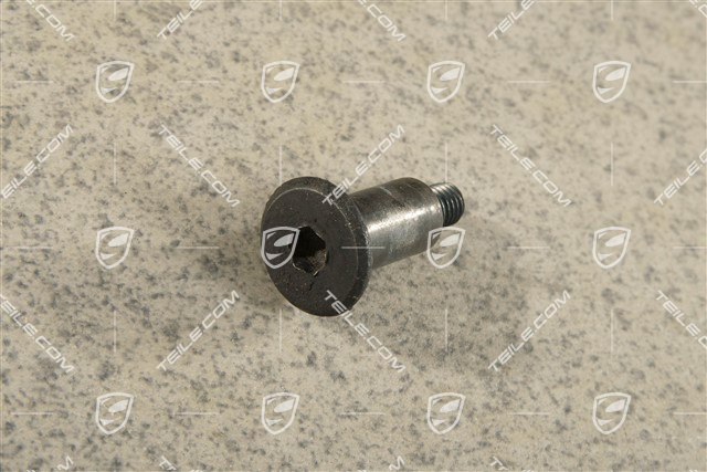 Bearing screw M6 x27