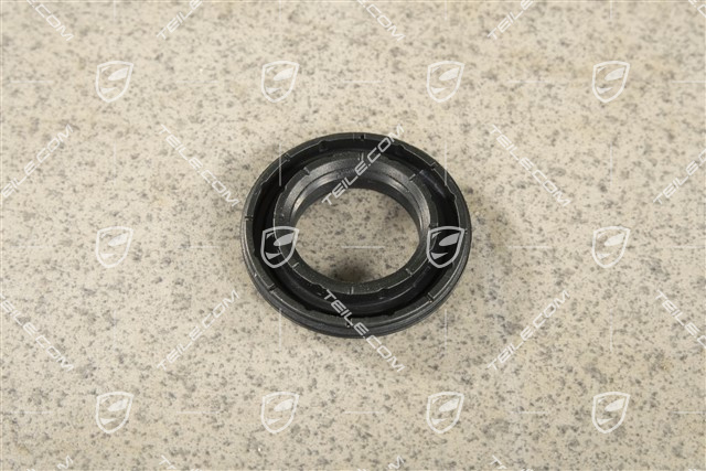 Seal, Throttle control element, Camshaft, 4,8L