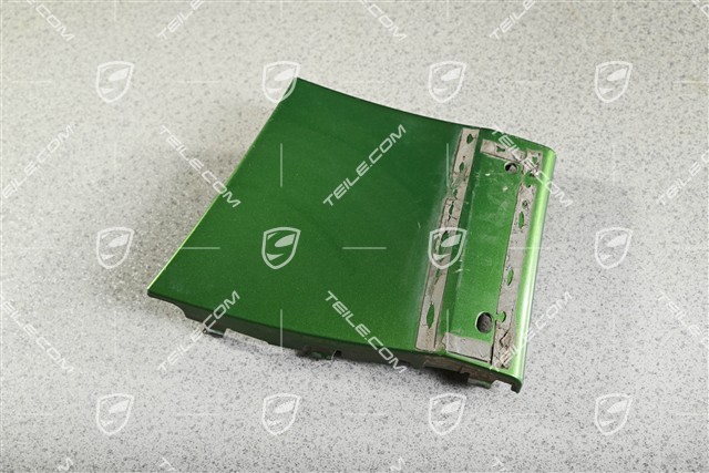 Front Wing / Fender cover / moulding, R