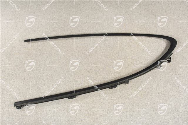 Moulding, Door channel, incl. sealing, rear, Matt black, L