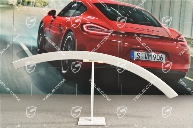 Wide wheel arch cover / flared wheel arches, rear door, L