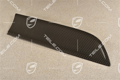 Rear door cover / trim, Carbon matt, R