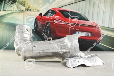 Exhaust heat shield