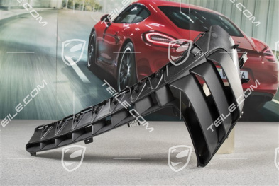 Luftauslass / Kotflügel Gitter, GT3RS II, L
