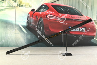 Rear door moulding, Glossy Black, L