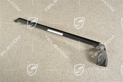 Molding trim with seal, Rally Black, R