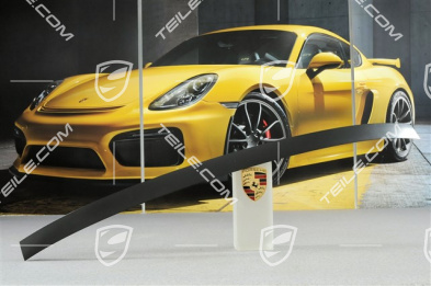 Abdeckleiste, Hardtop, L Abdeckleiste, Hardtop, L