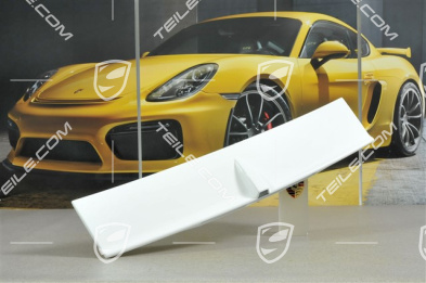 Gallardo LP 550-2 / LP 560-4, Spoiler tylny z wycięciem na kamerę