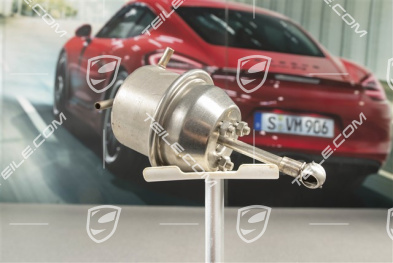 Carrera S, Zawór podciśnieniowy sterowania przepustnicą wydechu, R