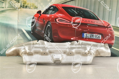 Heat protection / shield centre, rear