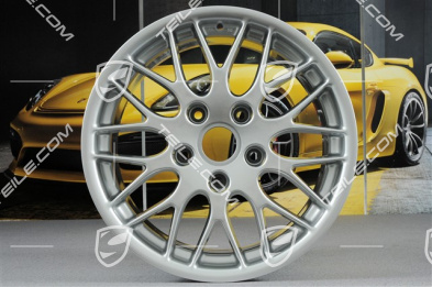 17-inch Sport Classic wheel, 8,5J x 17 ET50