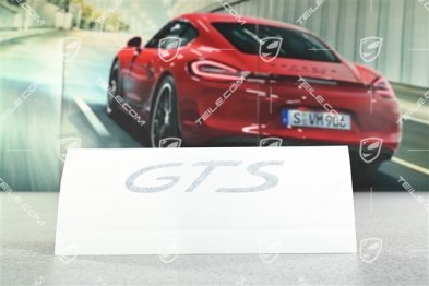 Schriftzug / / Aufkleber "GTS"