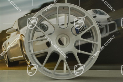 19" Felga RS Spyder, centralne mocowanie, 8,5J x 19 ET56, srebrna