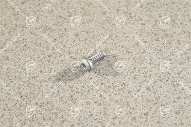 Flat round head bolt M6 x 16 Flat round head bolt M6 x 16