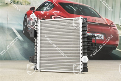 Chłodnica wody, fartuch błotnika, 4.0L 404KW (Hybrid), R